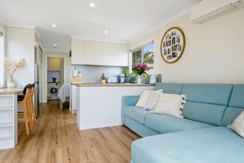 a living room with a blue couch and a kitchen at Cosy Cabin, Big View ! in Primrose Sands
