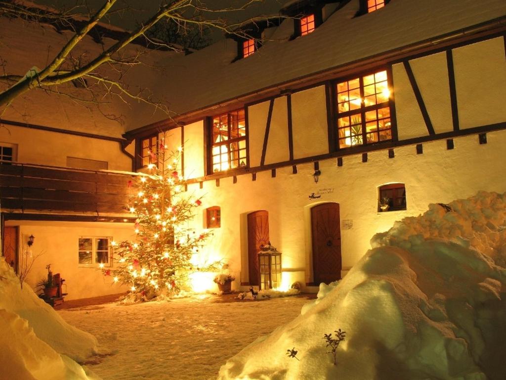 a house with a christmas tree in front of it at Landhotel im Hexenwinkel in Wiernsheim
