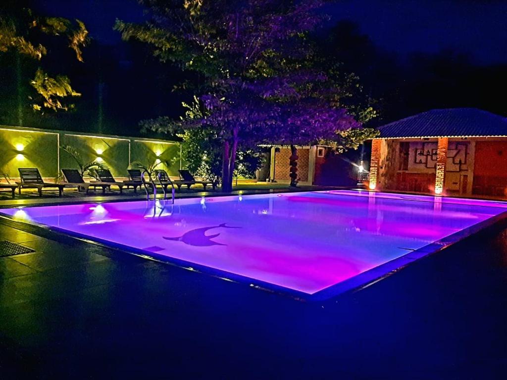 a swimming pool with purple lights on it at night at NATURALIZA in Sigiriya