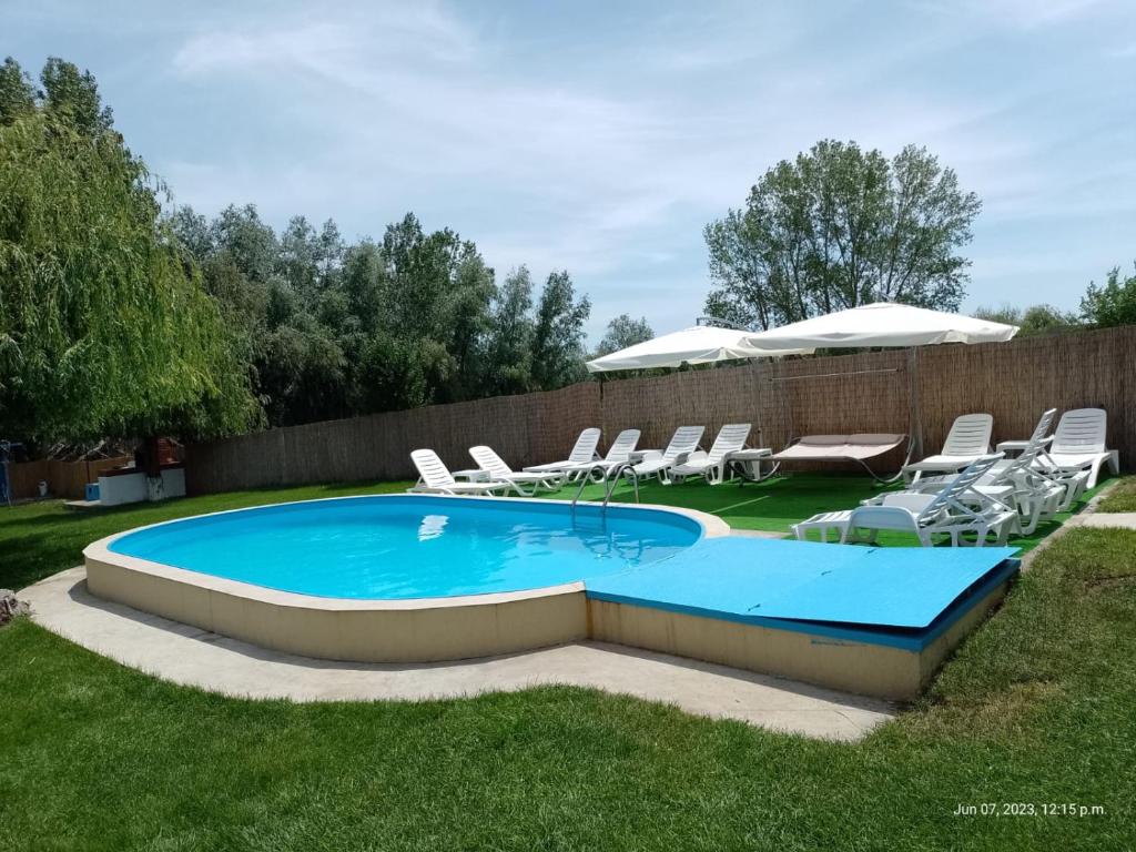 a swimming pool with chairs and umbrellas in a yard at Pensiunea Cristian in Murighiol