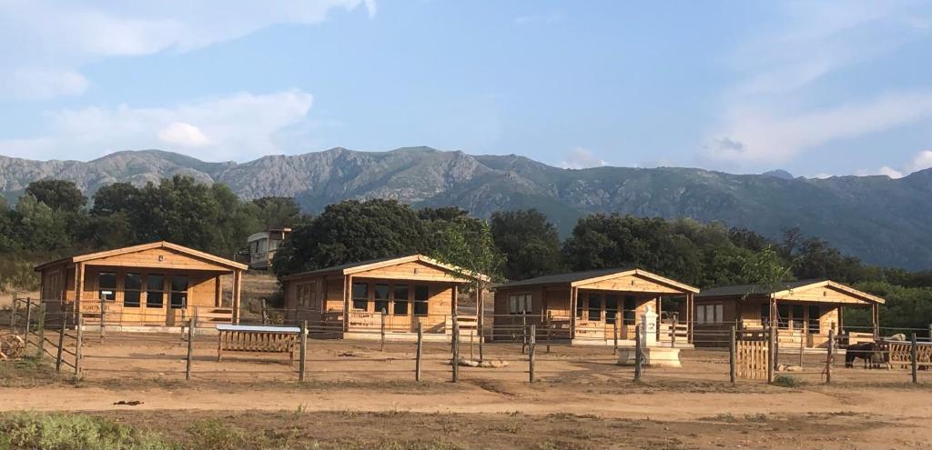 a row of wooden huts with mountains in the background at Les chalets du Haras de Tesa, proche Ile-Rousse in Occhiatana