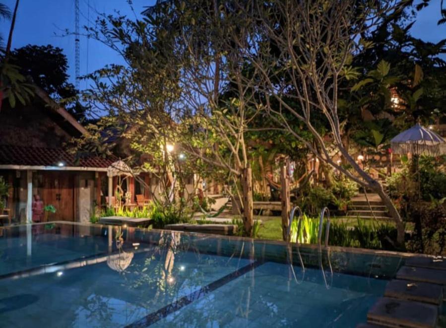 - une piscine dans un jardin la nuit dans l'établissement Astuti Gallery Homestay, à Yogyakarta