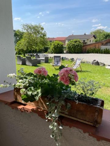 Zahrada ubytování Hotel Garni Kern