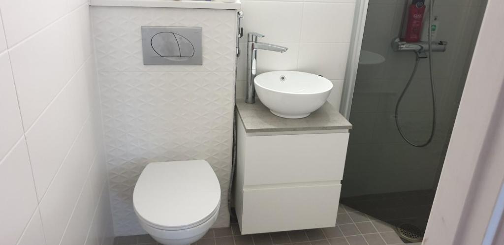 a small bathroom with a toilet and a sink at City center apartment in Pieksamaki