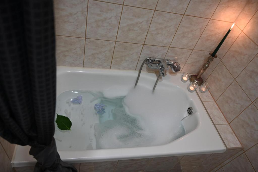 Apartmani Lucija - 17