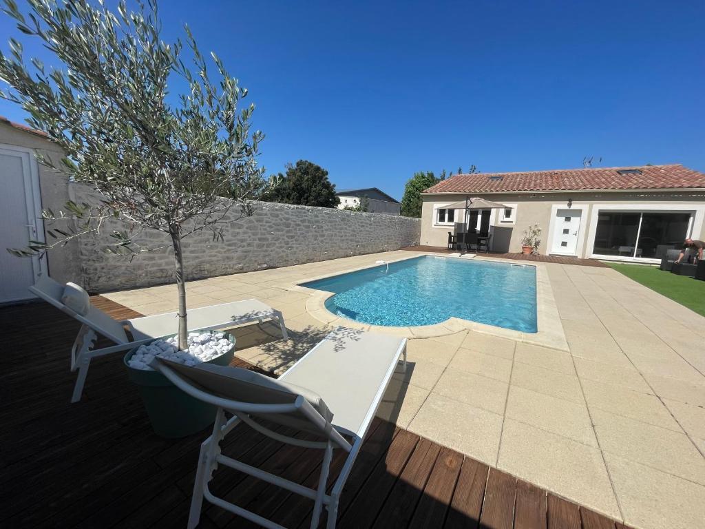 einen Pool mit zwei Stühlen und einem Baum im Hof in der Unterkunft Jolie maison avec piscine in Rochefort-du-Gard