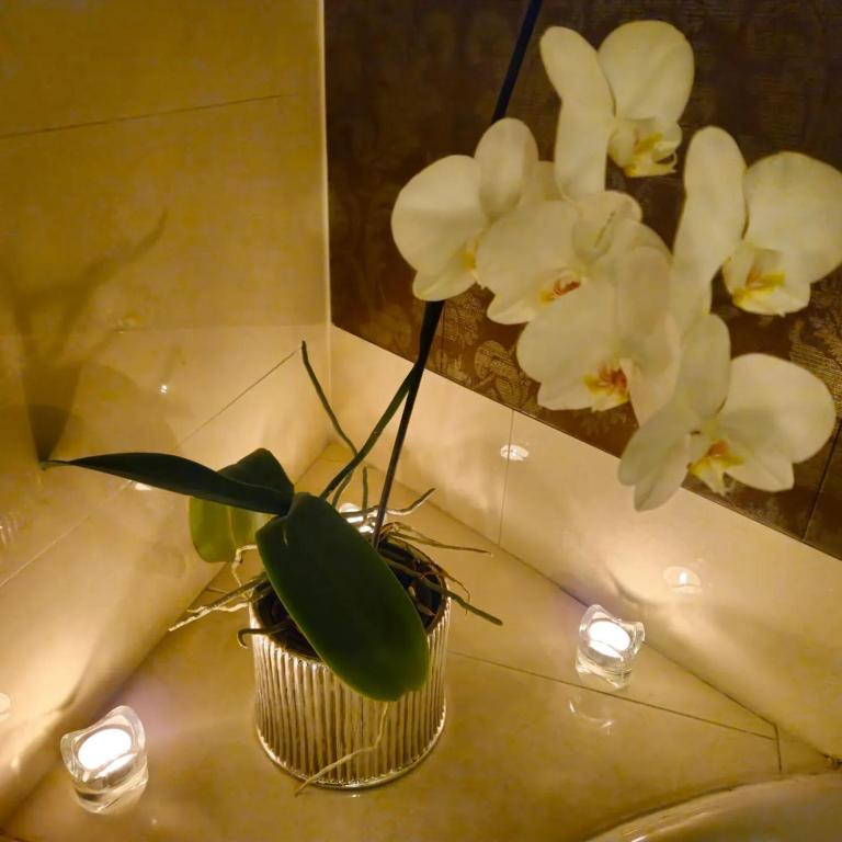 Hotel Azalia & Spa - Suite Doble Estándar