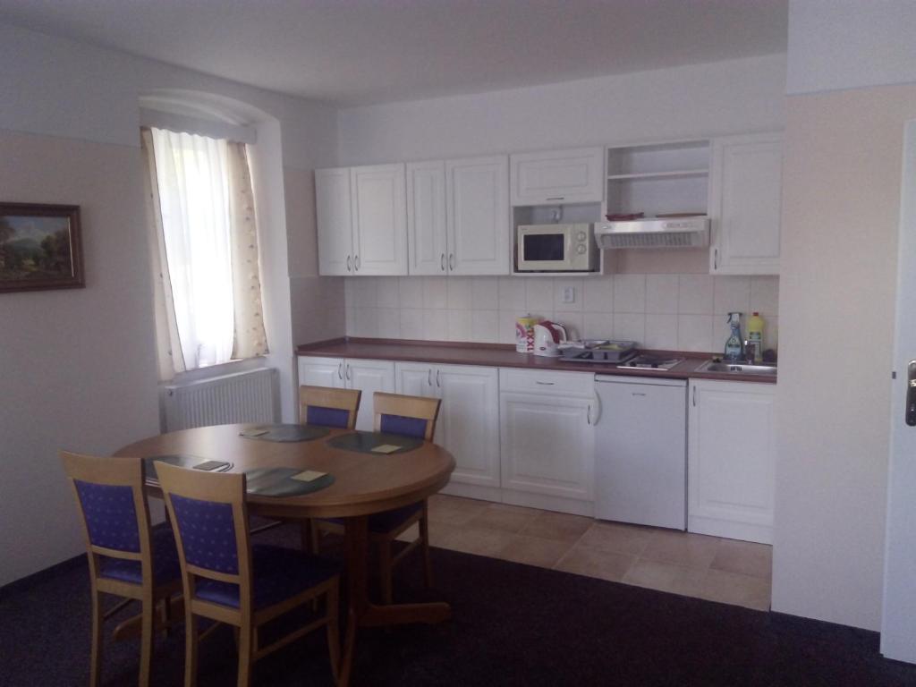 Kuchyň nebo kuchyňský kout v ubytování HAMR Apartmány