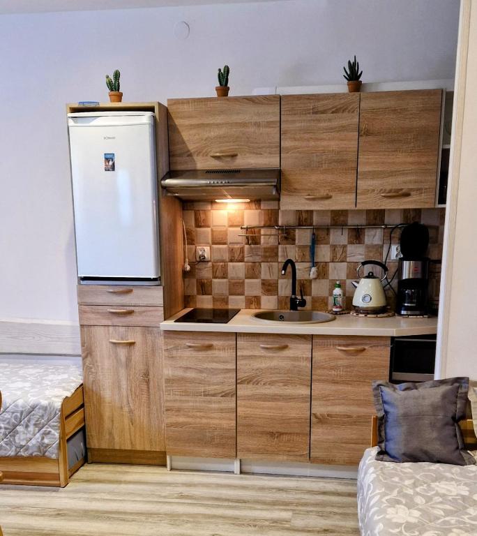 Kuchyňa alebo kuchynka v ubytovaní Apartamenty u Grażyny