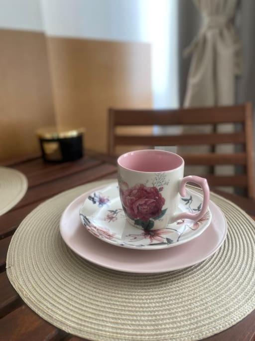 Příslušenství pro přípravu čaje a kávy v ubytování Prague Old Town Apartment Benediktska 6