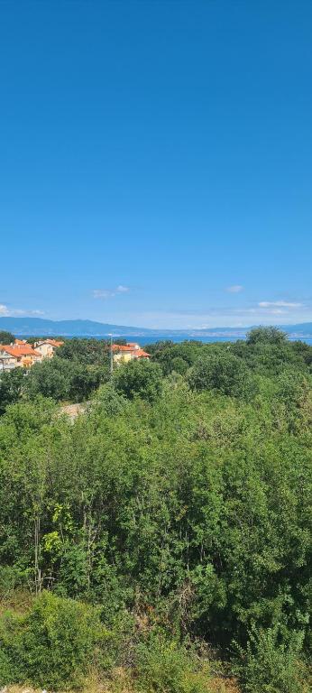 Příroda nedaleko apartmánu