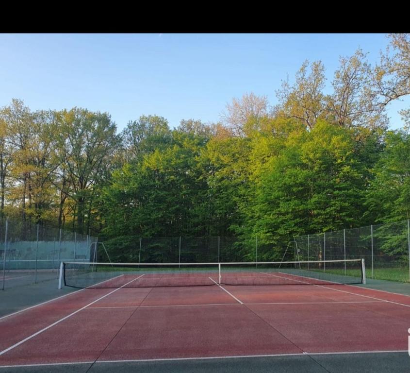 Ti&#x1EC7;n nghi tennis/b&oacute;ng qu&#x1EA7;n (squash) t&#x1EA1;i Chalet