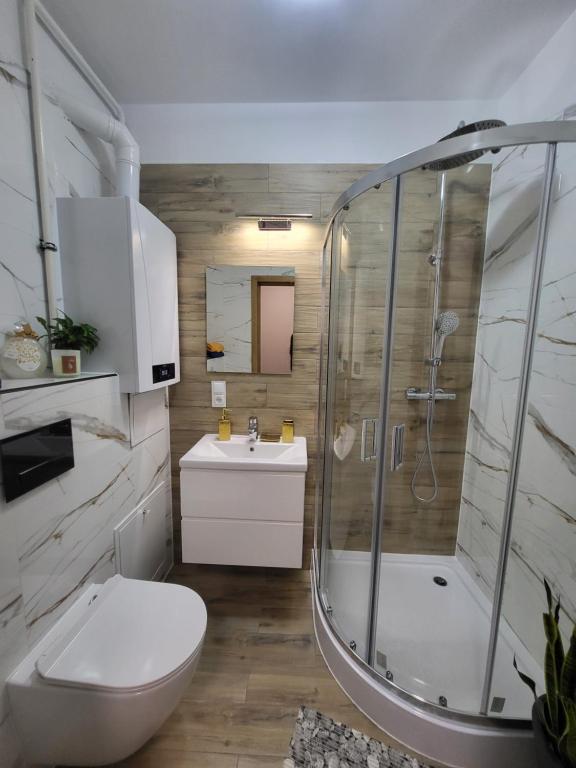 a bathroom with a shower and a toilet and a sink at Apartament Perełka in Jelenia Góra