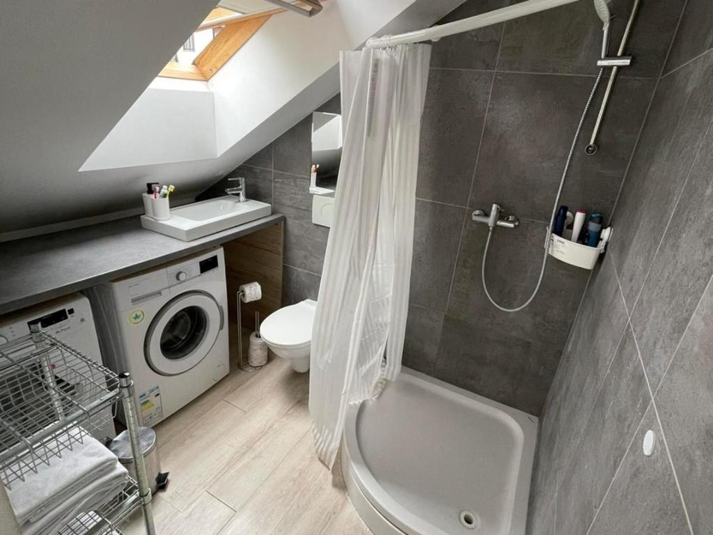 a bathroom with a shower and a toilet and a sink at KHAN Apartments LJUBLJANA in Ljubljana