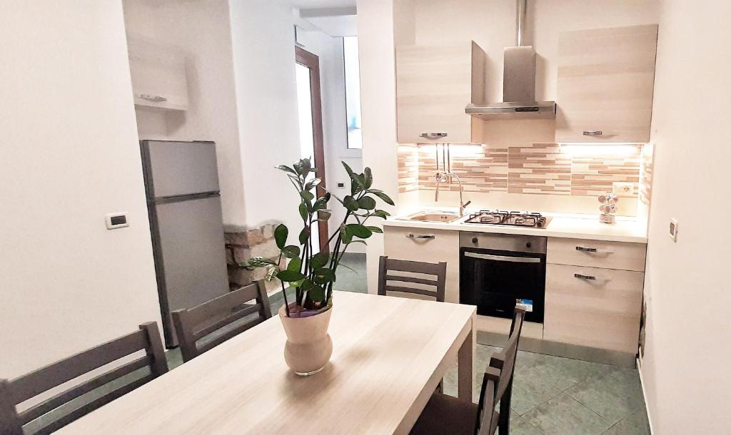 a kitchen with a table with a potted plant on it at Bilocale Gemma in Arbus