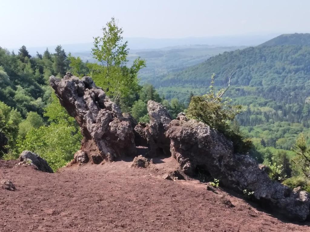 Príroda v okolí dovolenkového domu