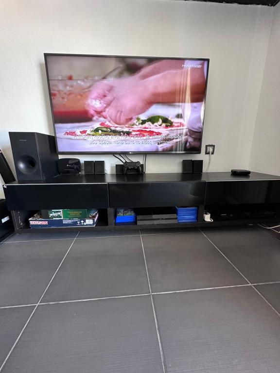 TV a/nebo společenská místnost v ubytování Olia apartment