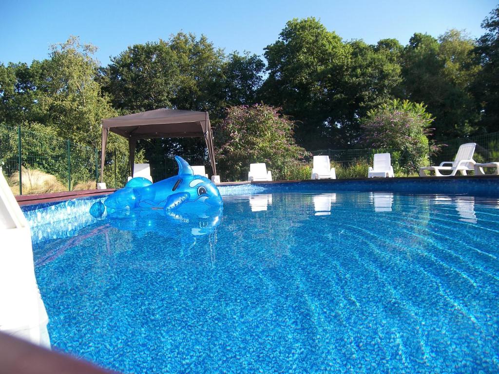 un requin gonflable bleu dans une piscine dans l'établissement Bonne Chere, Family Friendly Cottage with Pool LPS, à Malguénac