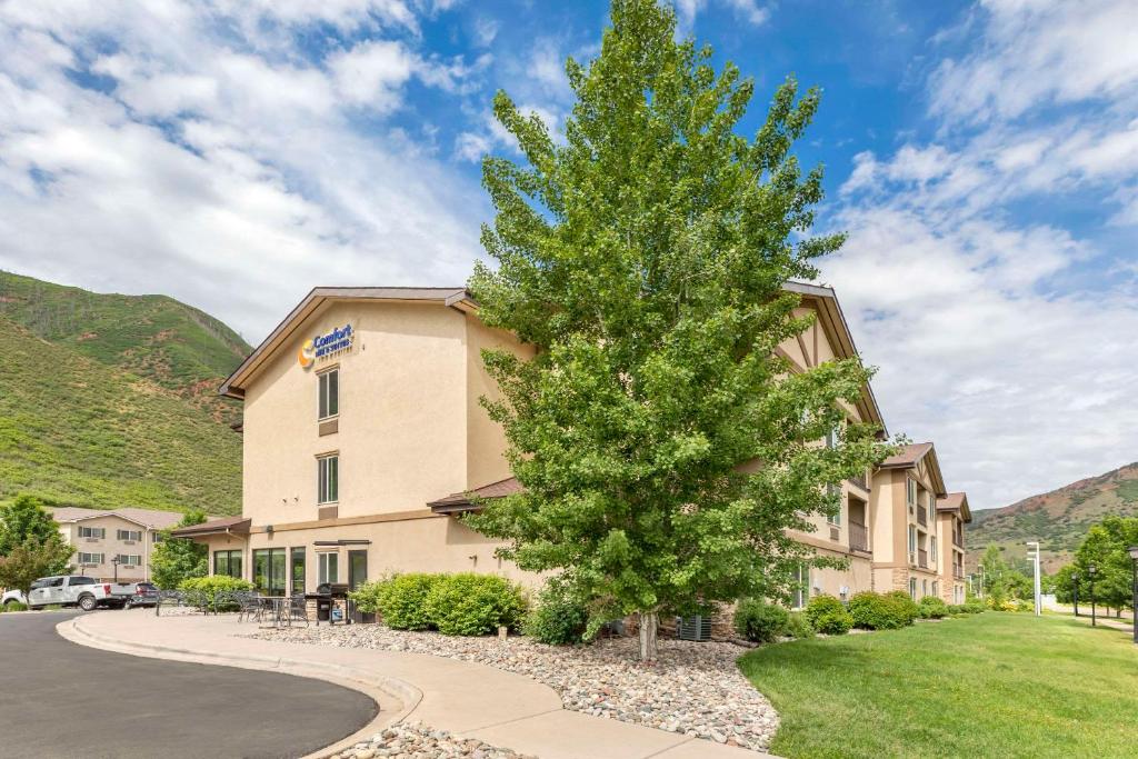 un gran edificio con un árbol delante en Comfort Inn & Suites Glenwood Springs On The River, en Glenwood Springs