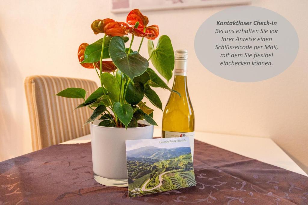 Braviscasa - Ferienresidenz Bärenhof Titisee - Studio Apartment-T2