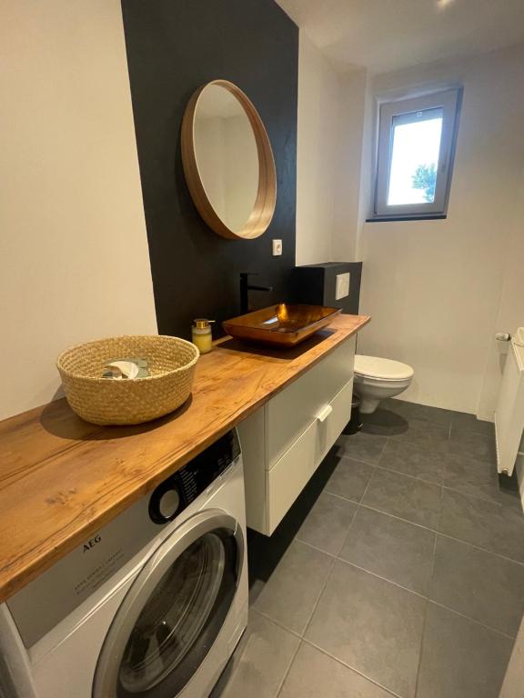 een badkamer met een wasmachine en een spiegel bij Pokoje na Hlavní Vřesina in Vřesina