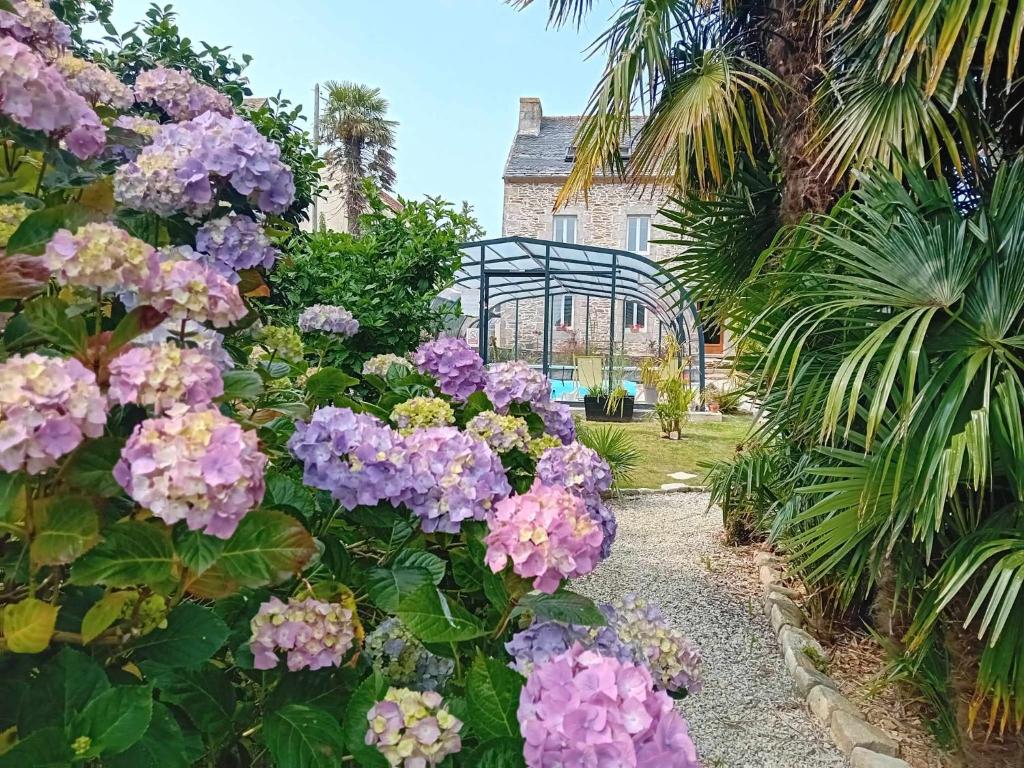un jardín con flores púrpuras frente a un edificio en Le Manoir de Kérofil ** Gîte et chambres d'hôtes ** 