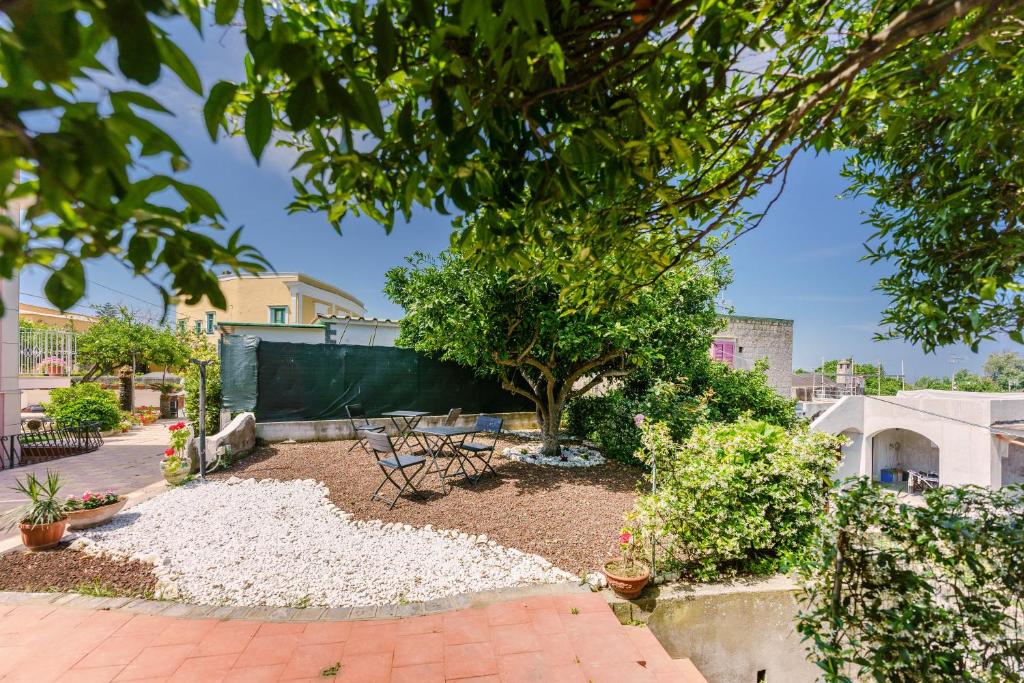 Fotografie z fotogalerie ubytování Le Jardin v destinaci Procida