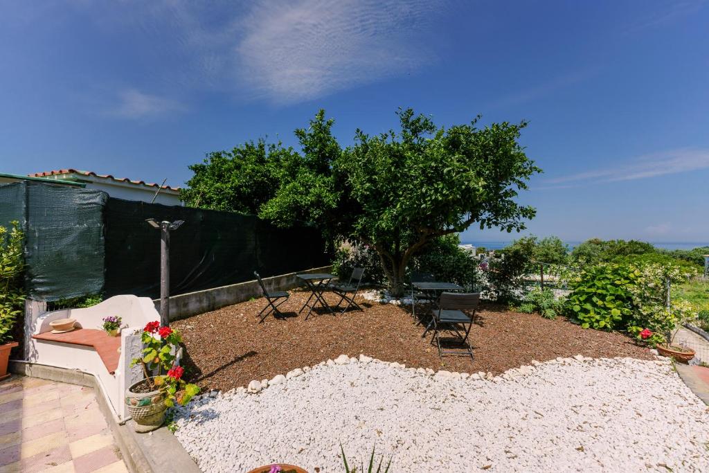 Fotografie z fotogalerie ubytování Le Jardin v destinaci Procida