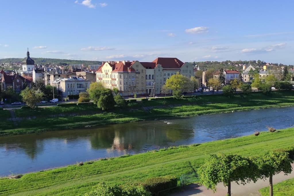 a view of a river with buildings and a city at Studio z widokiem na rzekę in Przemyśl