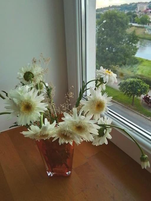 a vase filled with white flowers sitting on a window sill at Studio z widokiem na rzekę in Przemyśl