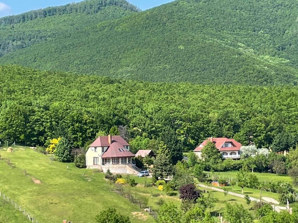 una casa en un campo con montañas en el fondo en The Mountain Cottage - Hegyi kuckó en Bükkzsérc
