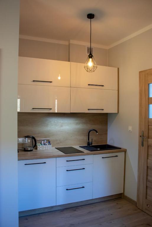 Apartamenty nad Strumykiem - Appartement Met 1 Slaapkamer