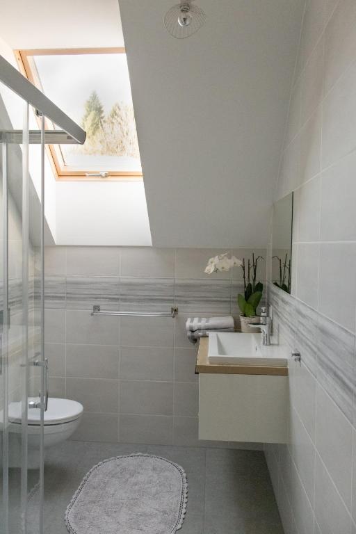 Apartamenty nad Strumykiem - Appartement Met 1 Slaapkamer