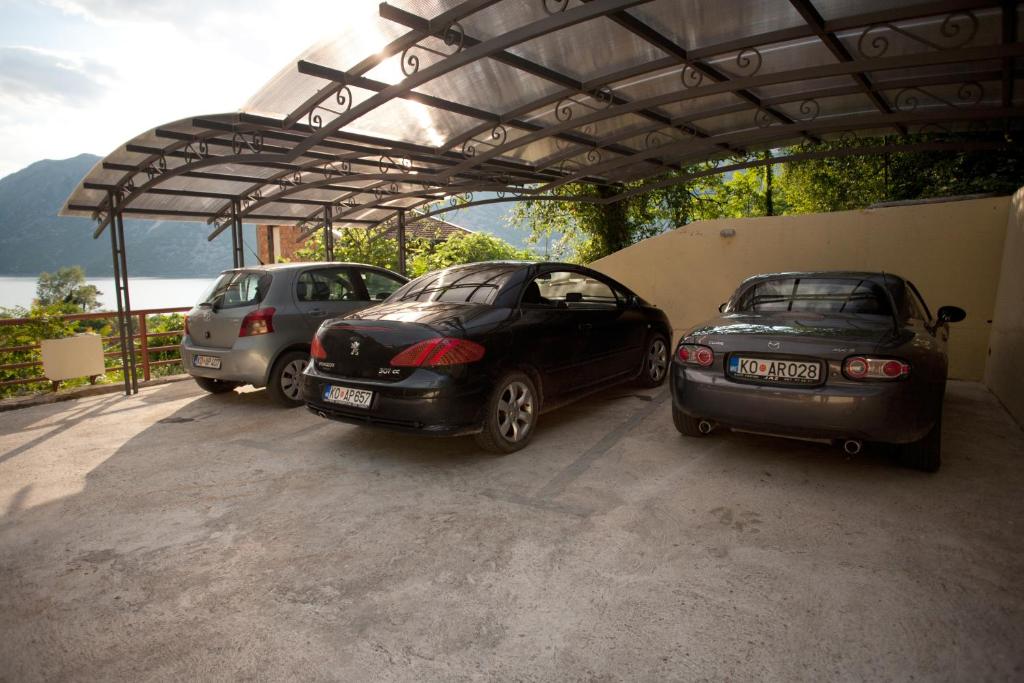 Příroda nedaleko apartmánu