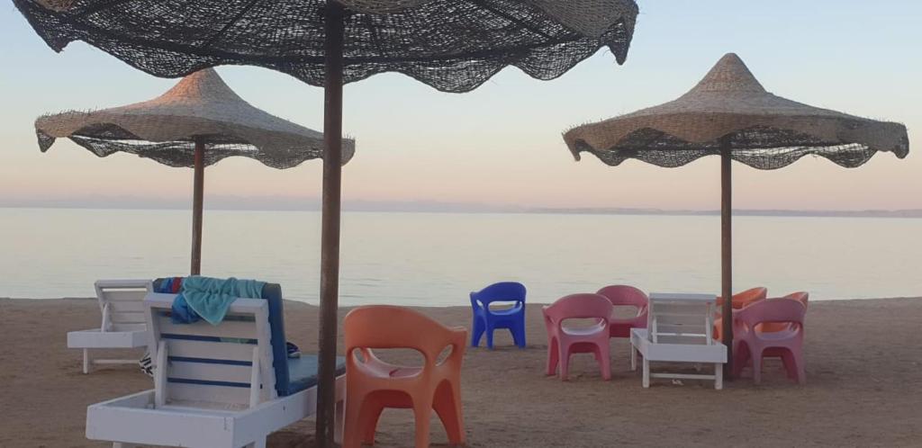 a group of chairs and umbrellas on a beach at Casablanca Beach Hurghada in Hurghada