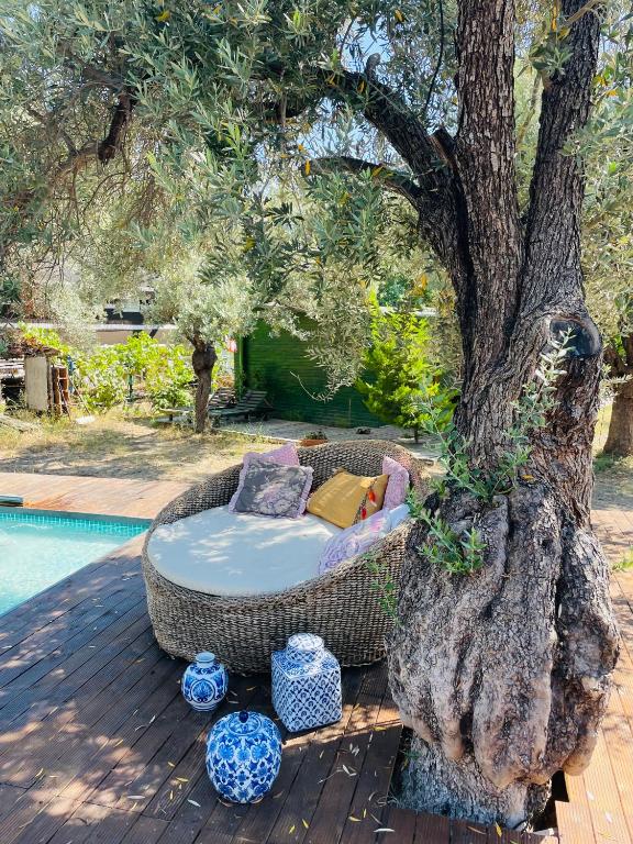 a bed sitting next to a tree next to a pool at My Bungalov in Mesudiye