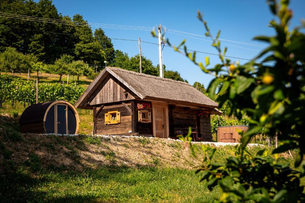 una casa vieja con un granero en un campo en Glamping Paradise Škatlar en Otočec
