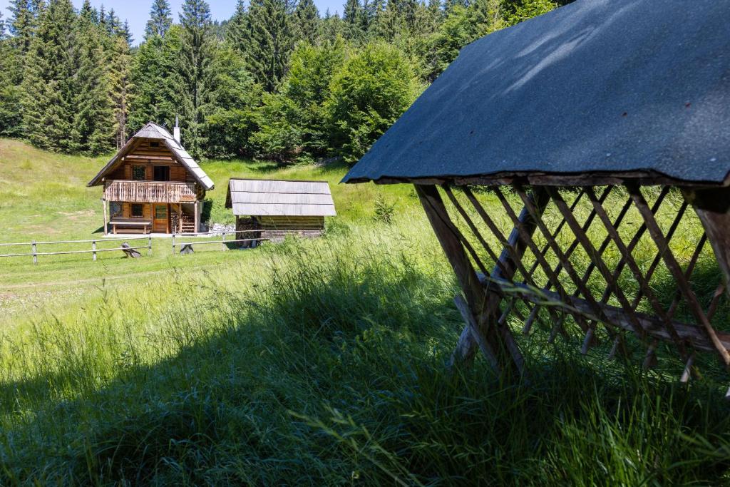 Příroda nedaleko apartmánu
