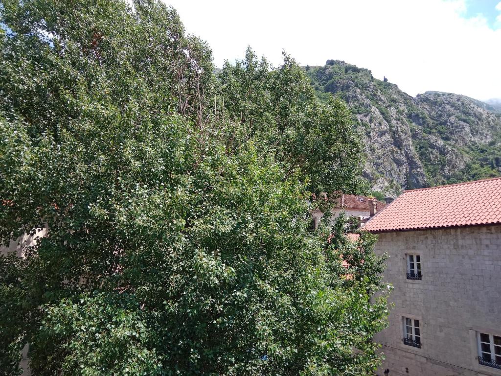Výhľad na hory alebo výhľad na hory priamo z privátu