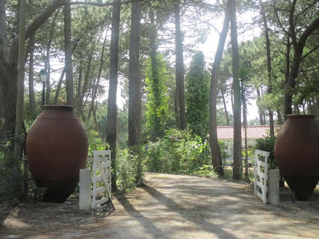 two large vases on a fence in a garden at Casa do Páteo in Aldeia do Meco