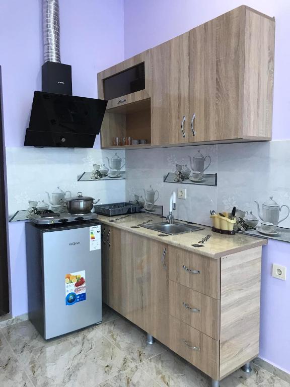 Kuchyň nebo kuchyňský kout v ubytování THEODORE-Hotel