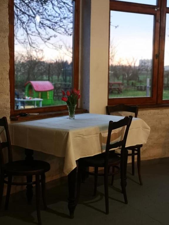 a dining room table with a vase of flowers on it at CycloCamp & Hostel in Skorenovac