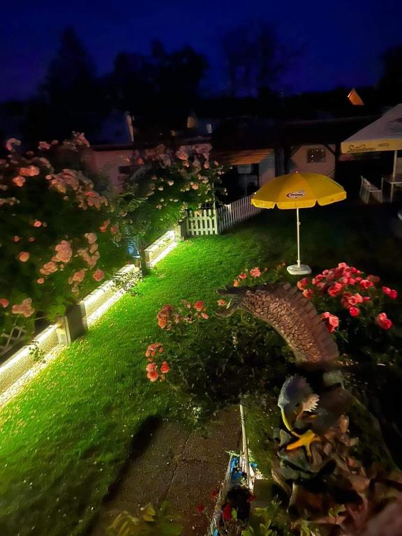 Zahrada ubytování Ubytovani Na Hrazi 91