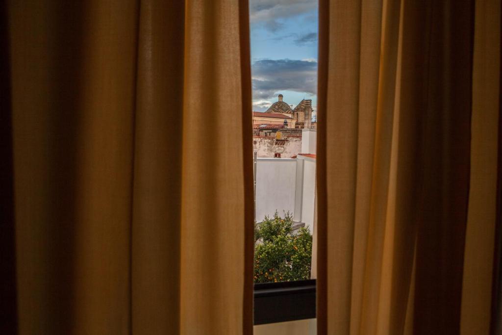 Příroda nedaleko hotelu
