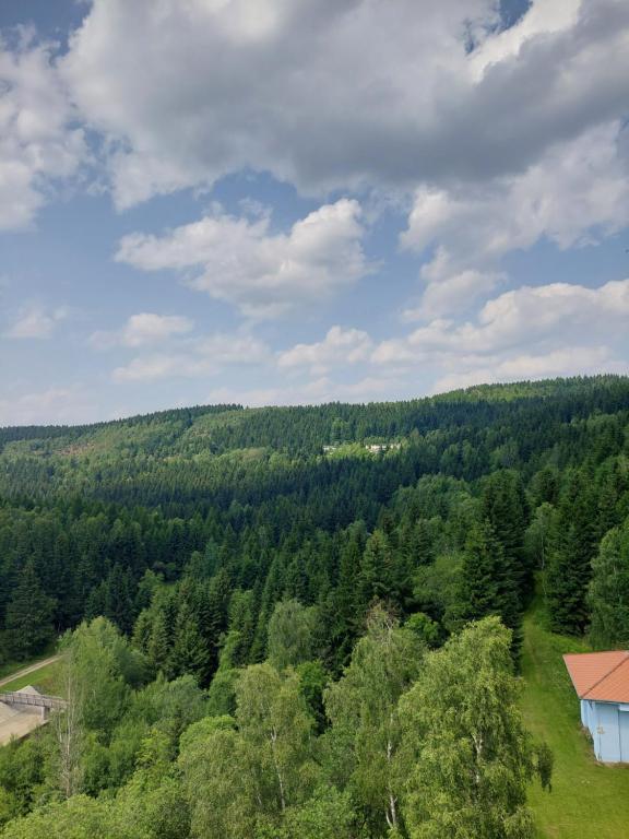 Příroda nedaleko penzionu