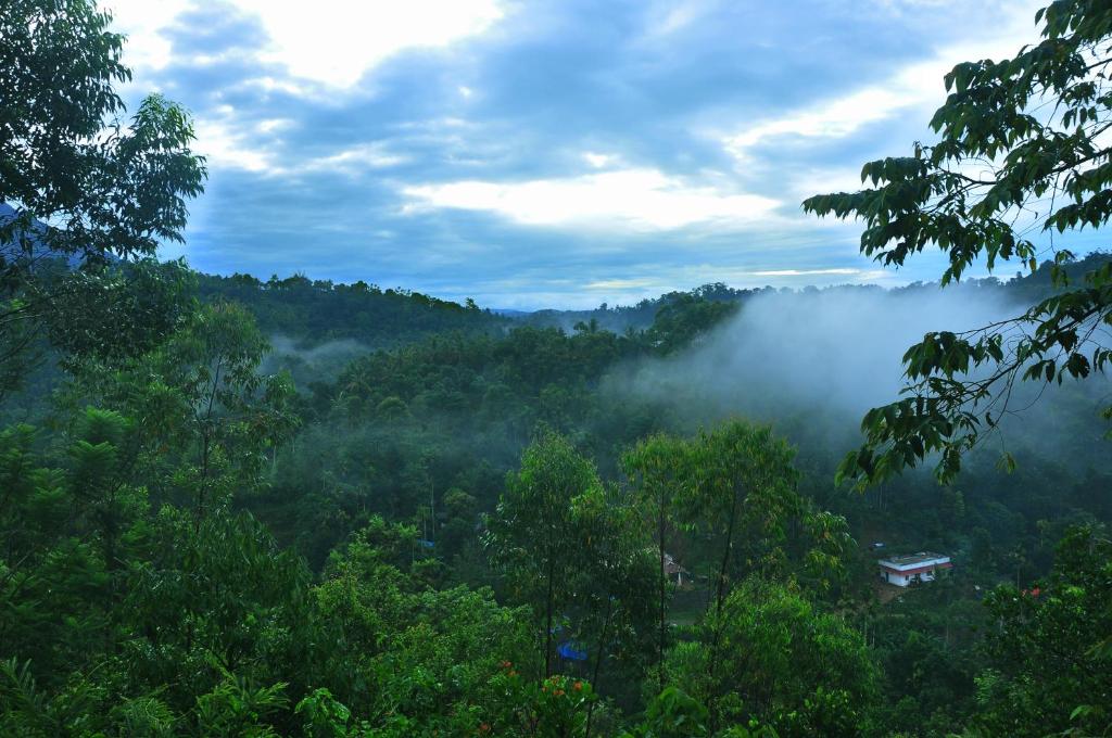 a view of a forest filled with lots of trees at Misty Lake Resorts Munnar By Sylora Hotels in Munnar