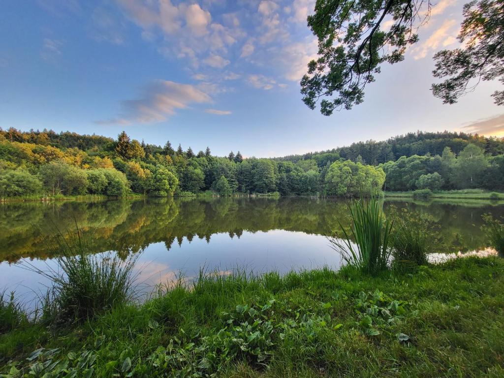 a lake in the middle of a forest at Na Dębowej- Apartament/dom 2 pokoje-prywatny las in Szczytna