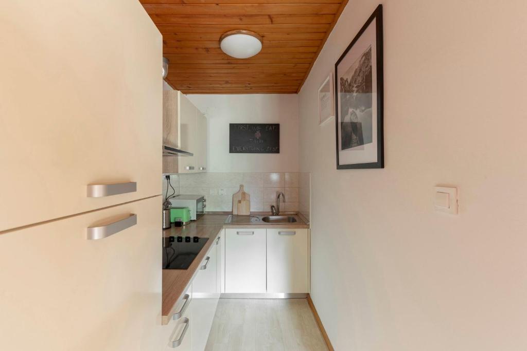 Kuchyň nebo kuchyňský kout v ubytování Apartma Alpine Space, Kranjska Gora - Center