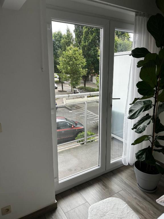 Foto dalla galleria di Zwarte Arend AirBnB ad Anversa