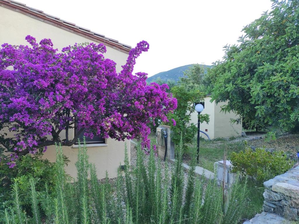 Ogród w obiekcie Sa Teria Village - Camere Deluxe -
